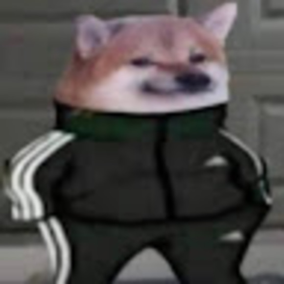 Meet your Posher, Mankar - Picture 1 of 1